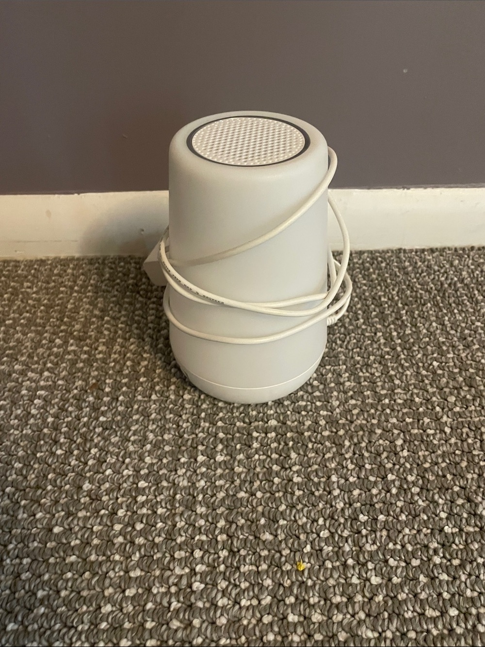 Hatch Nest